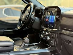 Ford F-150 3.5T - ფოტო 9