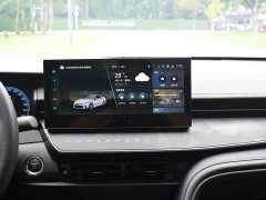 Ford 2.0HS Edition - ფოტო 18