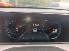 Changan Edition PLUS NE 1.4T GDI DCTPremium Edition - ფოტო 12