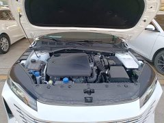 Changan 1.5T GDI Premium Version - ფოტო 20