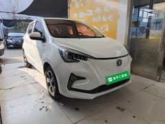BYD E-Star Edition - ფოტო 4