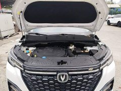 Changan CS55PLUS Edition 1.5T DCTLuxury Version - ფოტო 20