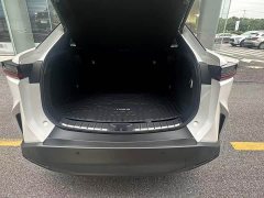 Lexus RZ 450e AWD Edition - ფოტო 5
