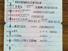 Wuling 333km - ფოტო 16