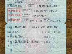 Wuling 333km - ფოტო 14