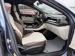BYD PLUS Edition EV 510KM Version - ფოტო 8