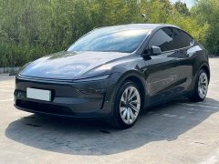 Tesla Model Y Long Range Edition - ფოტო 1