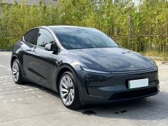 Tesla Model Y Long Range Edition - ფოტო 3