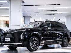 Nio ES8 Luxury Edition - ფოტო 9