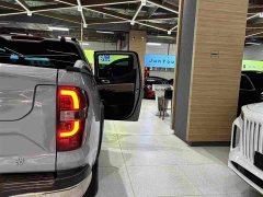 Changan Edition Version Single Motor - ფოტო 12