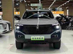 Changan Edition Version Single Motor - ფოტო 2