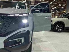 Changan Edition Version Single Motor - ფოტო 7