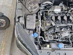 Changan 1.5T 500BarPremium Version - ფოტო 3
