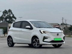 Changan E-Star Edition - ფოტო 4