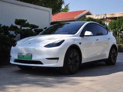 Tesla Model Y Edition - ფოტო 1