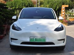 Tesla Model Y Edition - ფოტო 2