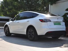 Tesla Model Y Edition - ფოტო 3