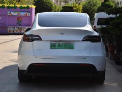 Tesla Model Y Edition - ფოტო 4