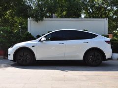 Tesla Model Y Edition - ფოტო 5