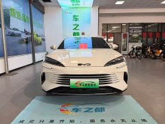 BYD 07 DM-i 1.5L 125km Version - ფოტო 2