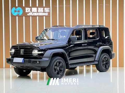 2021 Tank 300 Off-Road Edition 2.0T - ავტომობილი ჩინეთიდან
