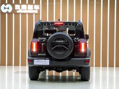Tank 300 Off-Road Edition 2.0T - ფოტო 15