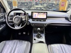BMW 2.0TAWD VersionGW4C20B - ფოტო 8