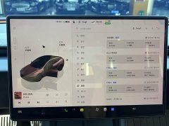 Tesla Model 3 Edition - ფოტო 8