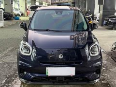 Leapmotor T03 400Luxury Edition - ფოტო 2