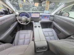 Volkswagen LS6 EREV 66 Max - ფოტო 11