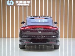 Volkswagen LS6 EREV 66 Max - ფოტო 5