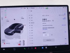 Tesla Model 3 Edition - ფოტო 10