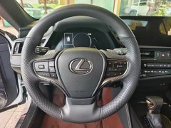 Lexus ES 300h Edition - ფოტო 6