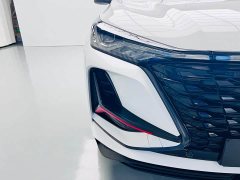 Changan CS75PLUS 2.0T Flagship Version - ფოტო 6