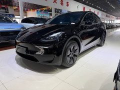 Tesla Model Y Edition - ფოტო 1