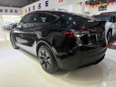 Tesla Model Y Edition - ფოტო 15