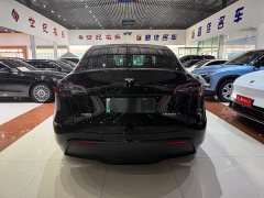 Tesla Model Y Edition - ფოტო 16