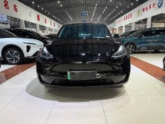 Tesla Model Y Edition - ფოტო 2