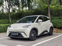 BYD Edition - ფოტო 1