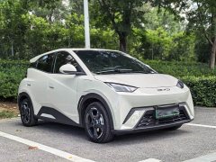 BYD Edition - ფოტო 3