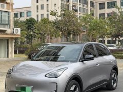 BYD 310km Edition - ფოტო 1