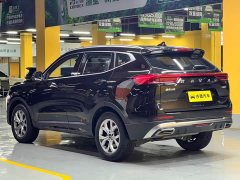 Haval H6 1.5T Edition - ფოტო 5