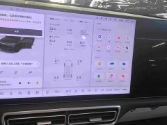 Li Auto L7 MAX - ფოტო 9