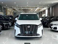 Buick GL8 ES Deluxe Version - ფოტო 3