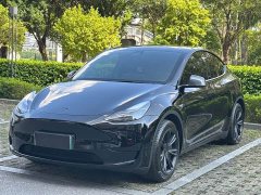 Tesla Model Y Edition - ფოტო 1