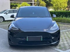 Tesla Model Y Edition - ფოტო 2