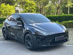 Tesla Model Y Edition - ფოტო 3
