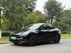 Tesla Model Y Edition - ფოტო 1