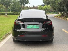 Tesla Model Y Edition - ფოტო 13
