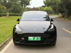Tesla Model Y Edition - ფოტო 2